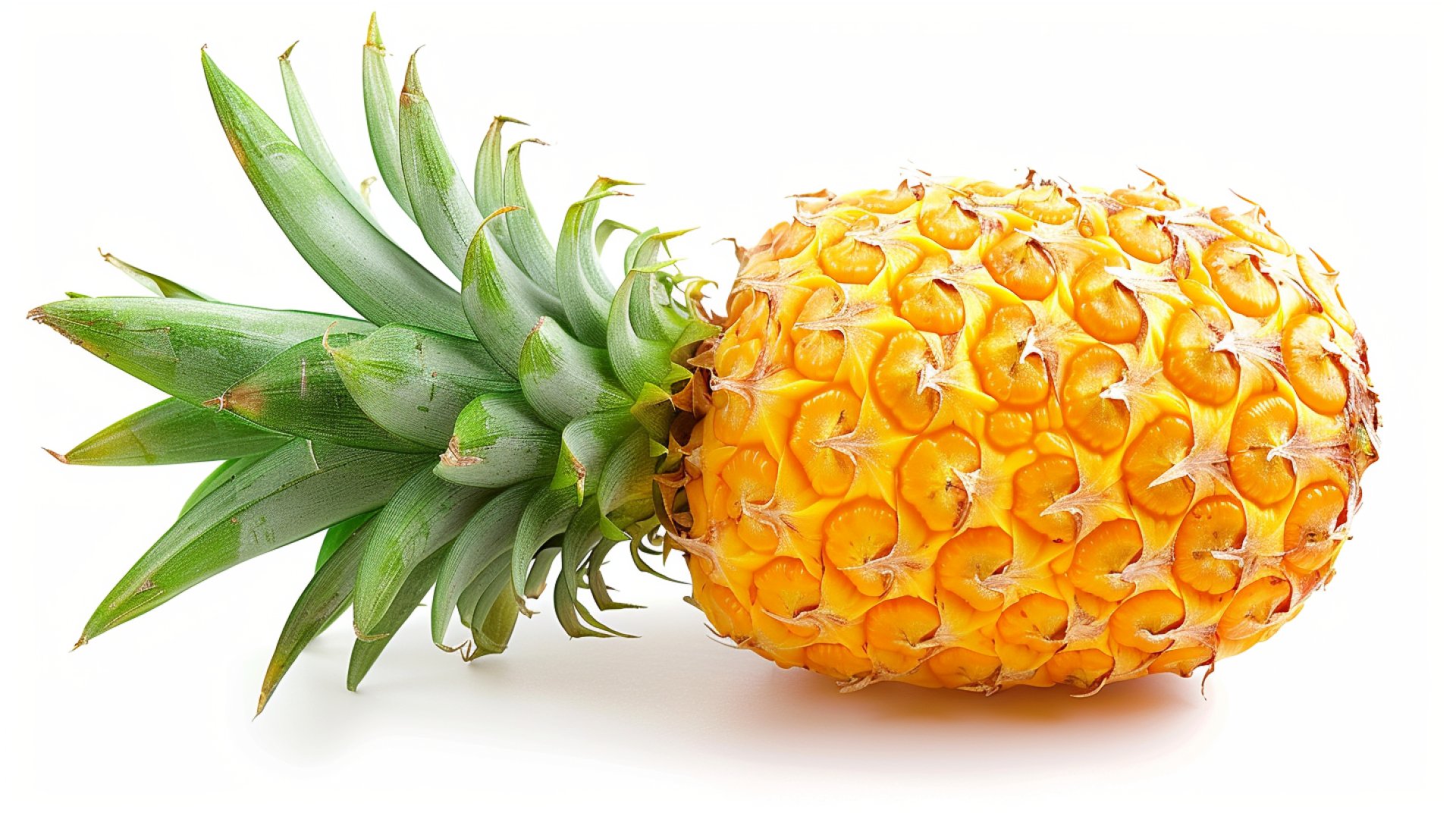 Stunning Pineapple Stock Photos for Your Project