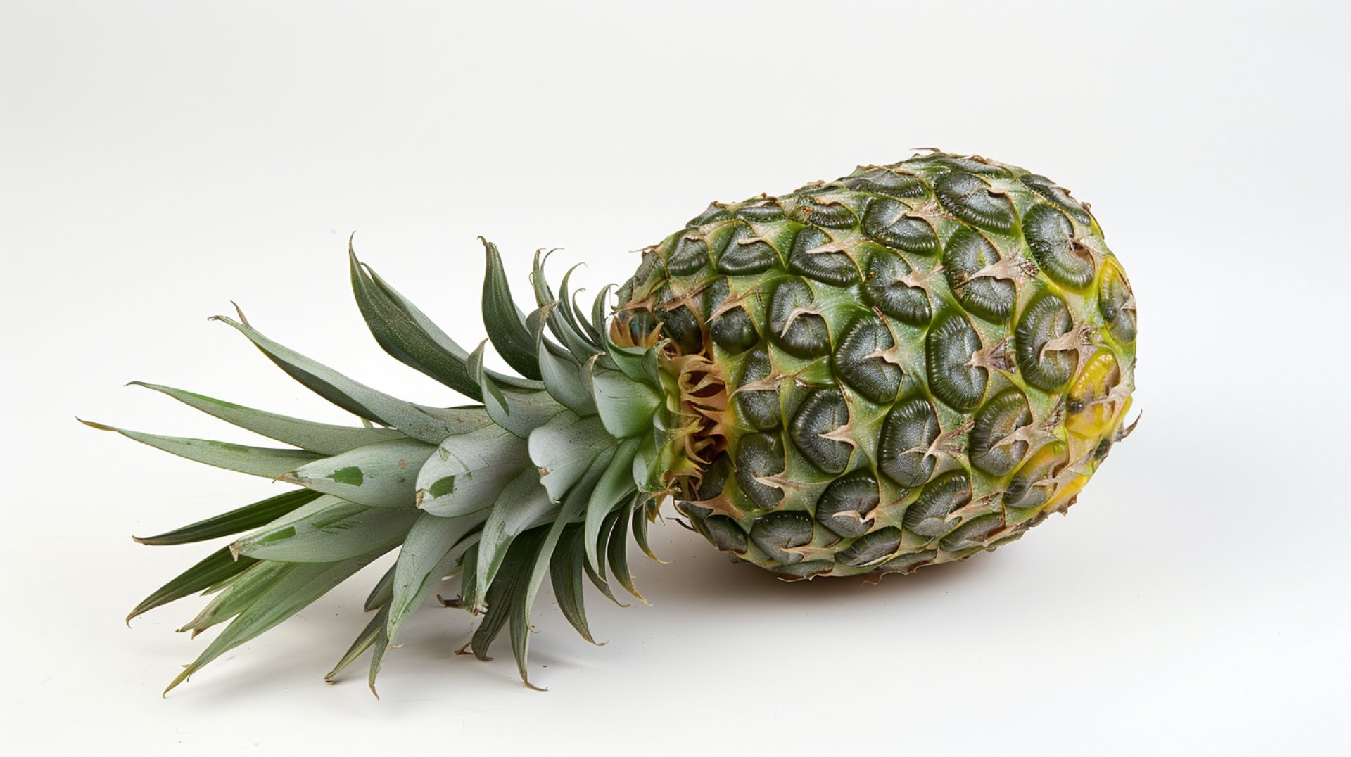 Download High-Quality Pineapple Wallpapers for Your PC