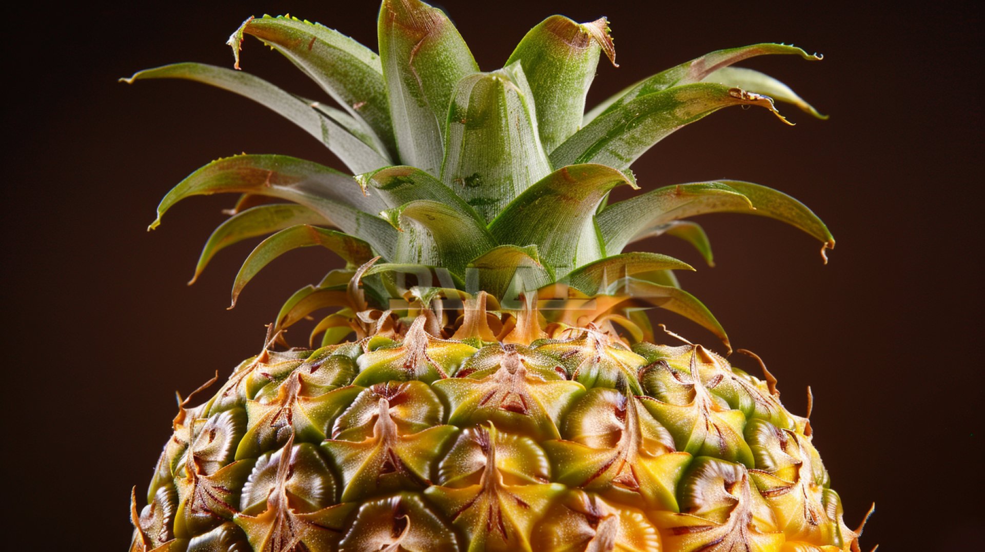 Captivating Pineapple Images for Stunning Wallpapers