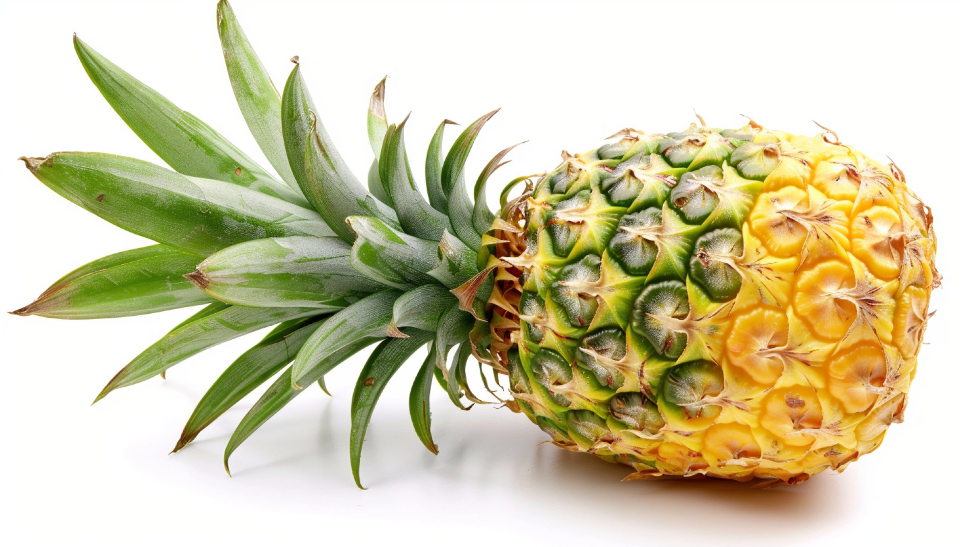 Exclusive Pineapple Photos for Creative Digital Projects