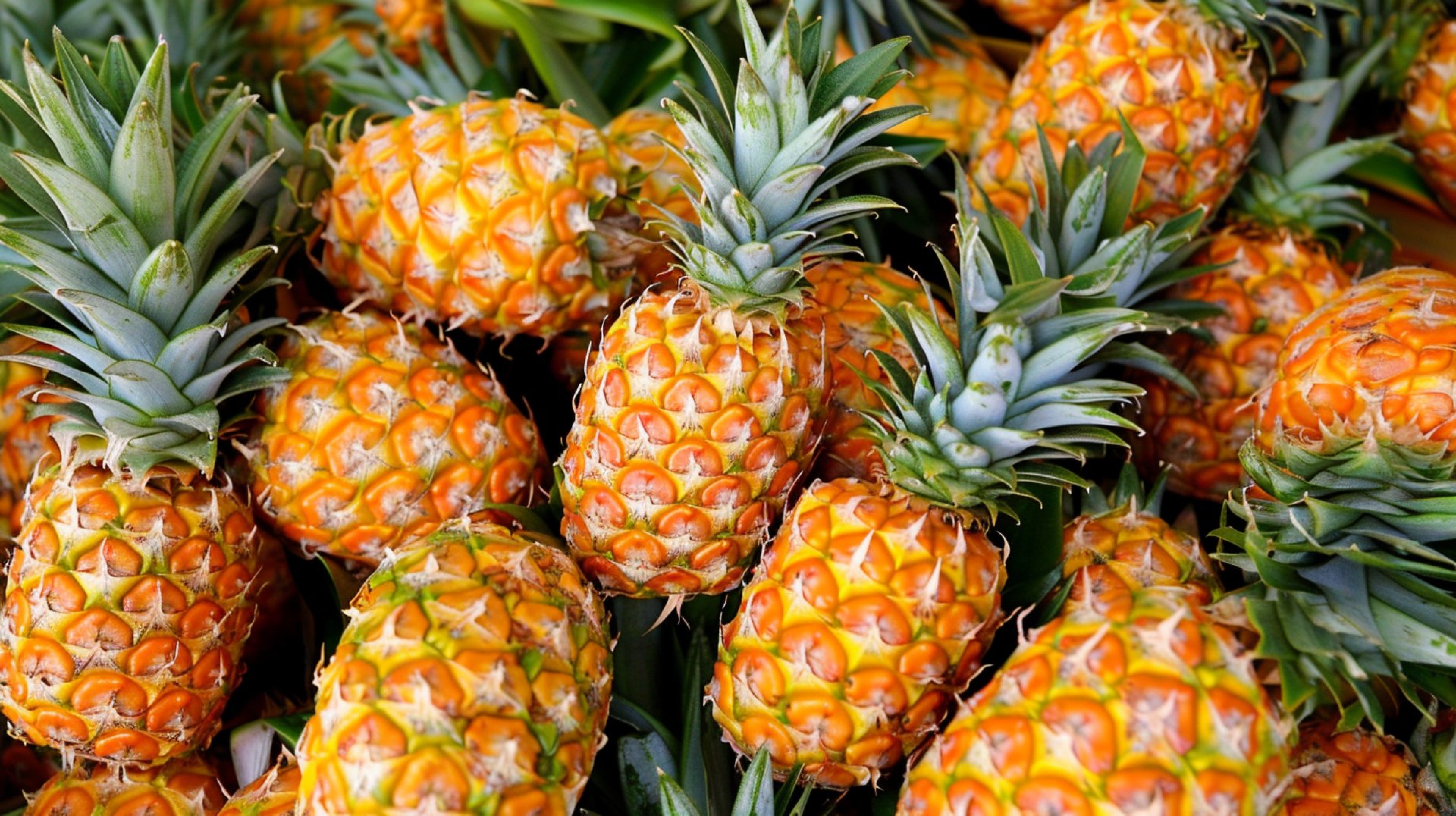 Stunning Pineapple Digital Background in Ultra HD