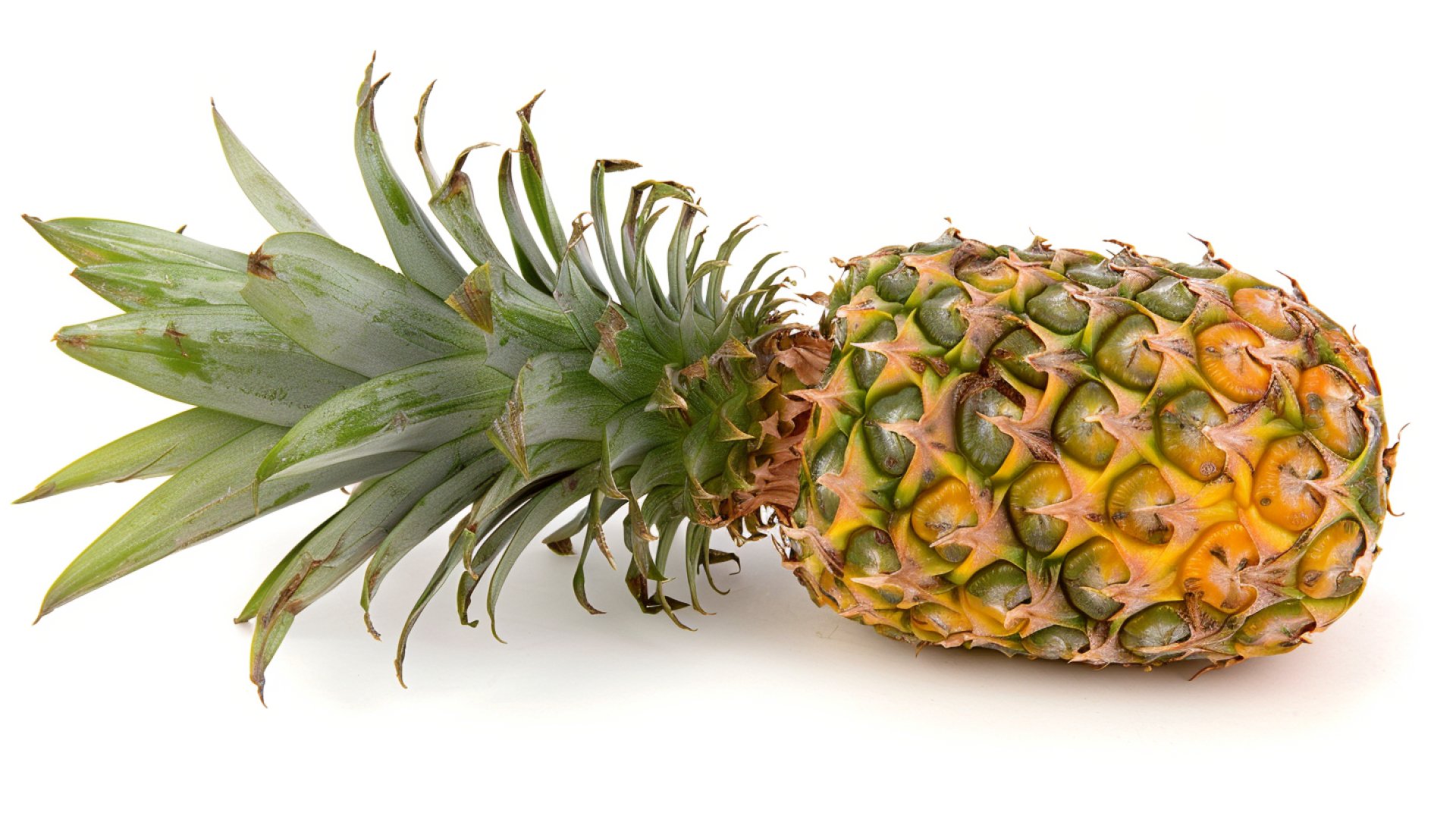 Download Free Pineapple Stock Photos for Personal Use