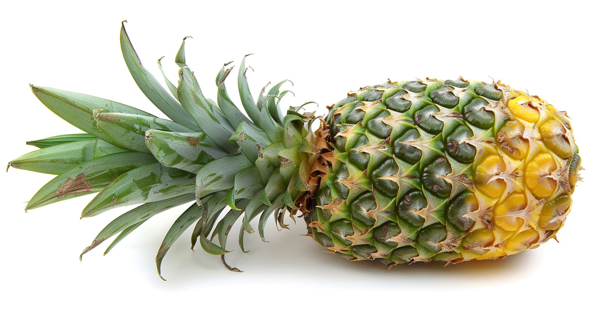 Free Royalty-Free Pineapple Photos for Desktop Use