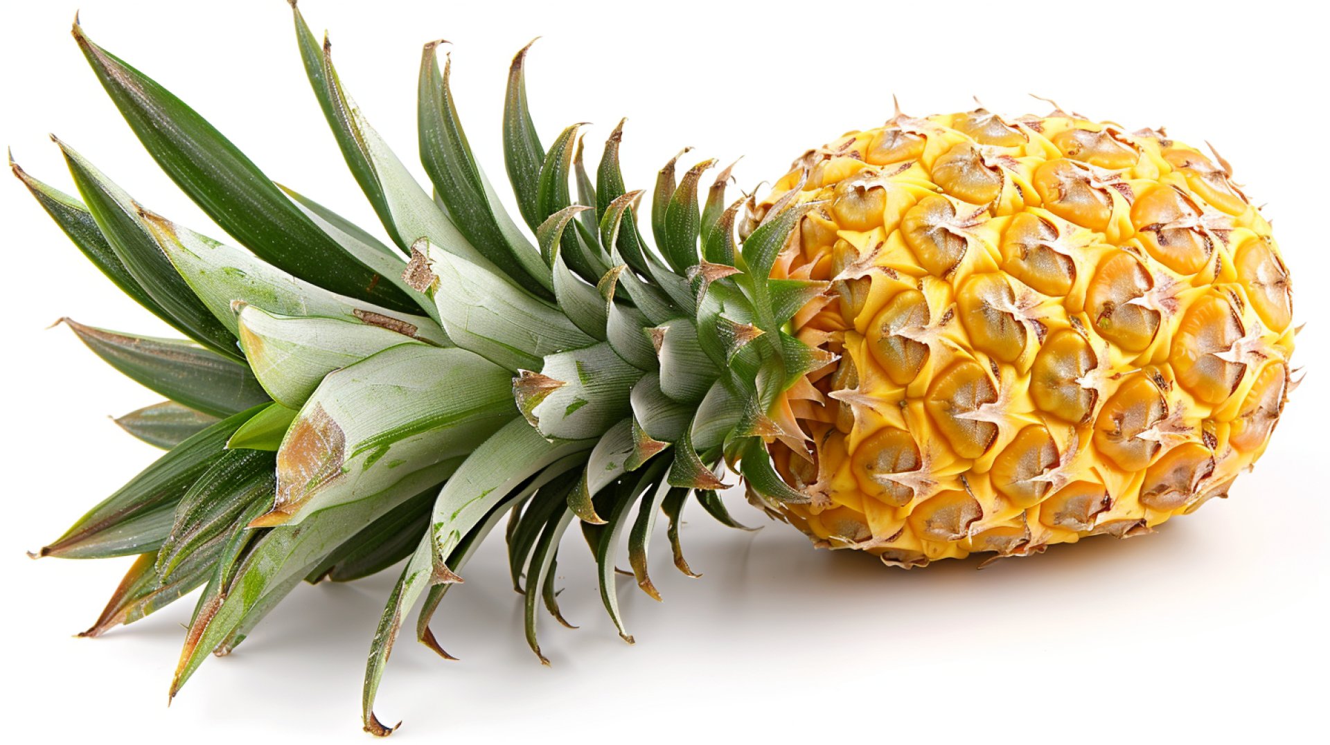 Dynamic Pineapple Stock Photos for Your Next Project