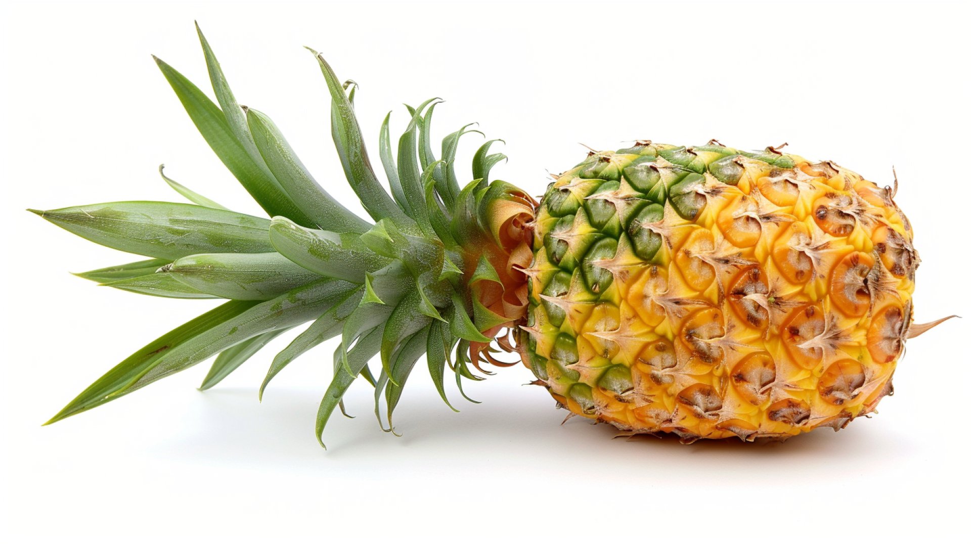 Colorful Pineapple Pictures in Full HD Quality