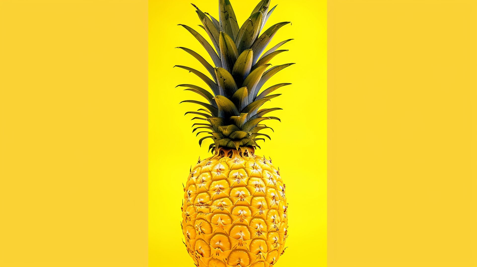 High-Resolution Upside Down Pineapple Wallpapers for Free