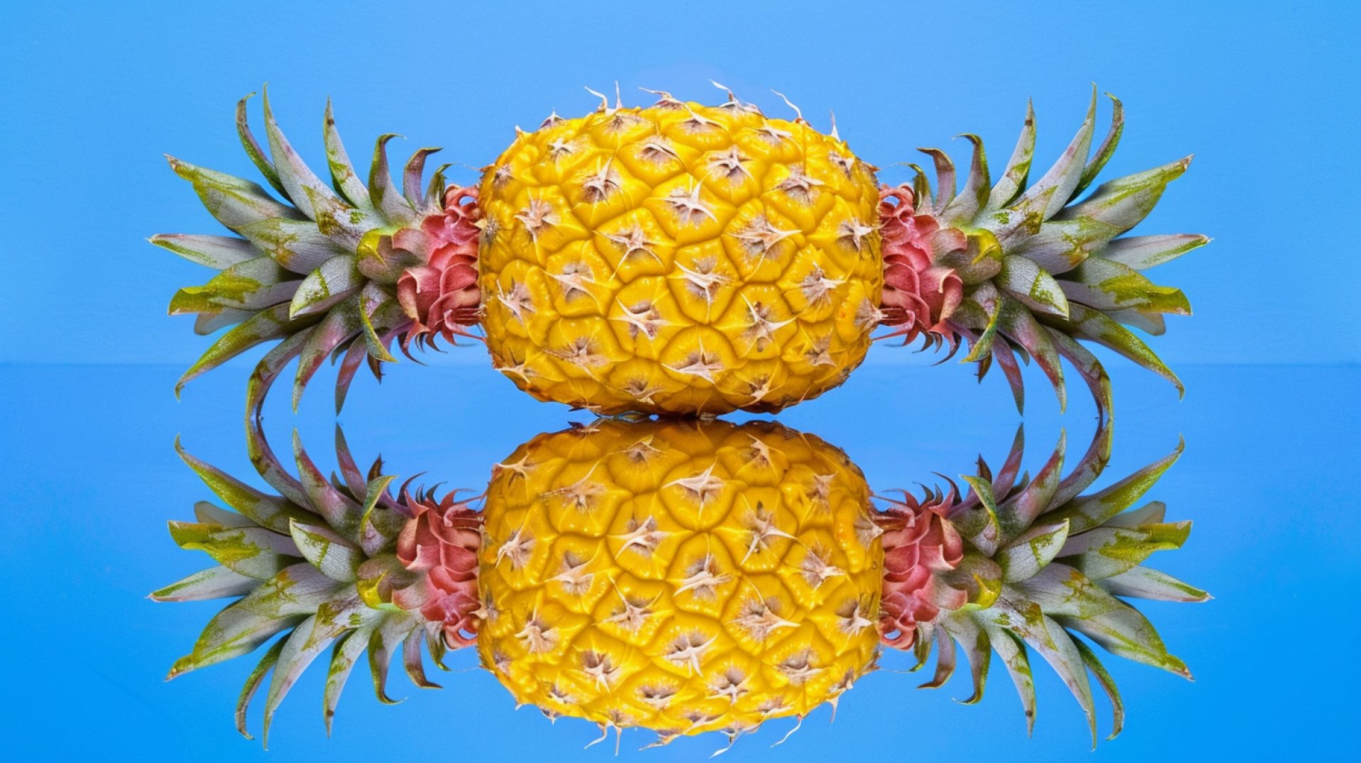 Creative Upside Down Pineapple Wallpaper for HD Displays