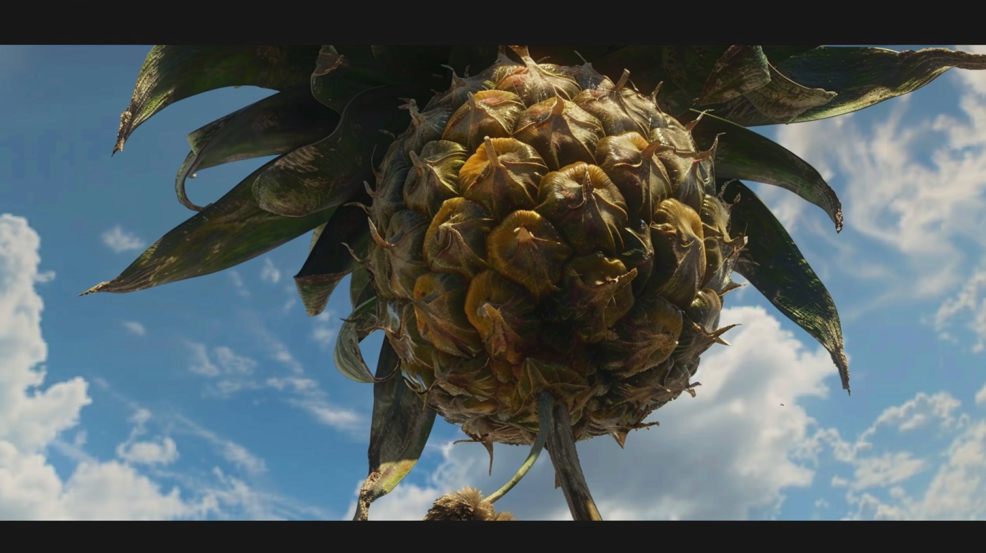 Big Upside Down Pineapple Photos for Your Screen