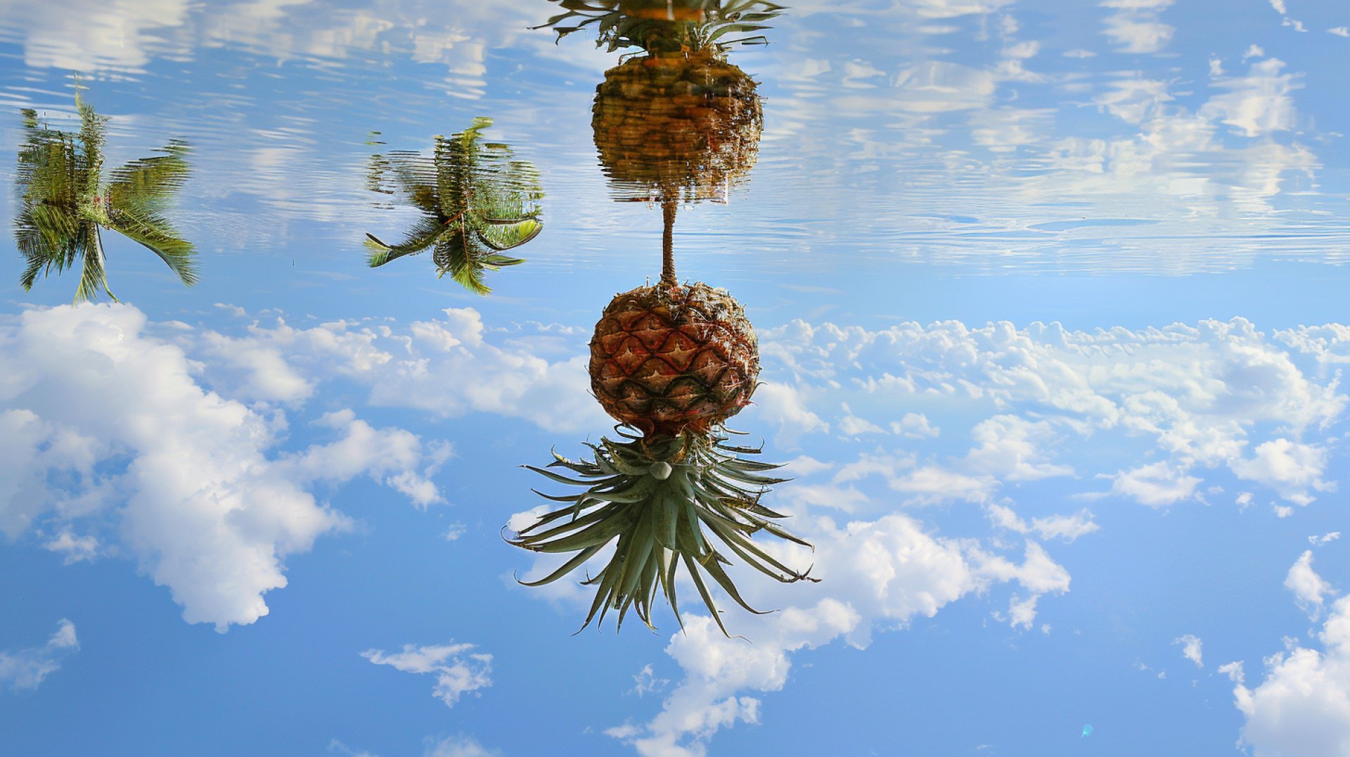 Download Stylish 8K Upside Down Pineapple Wallpaper