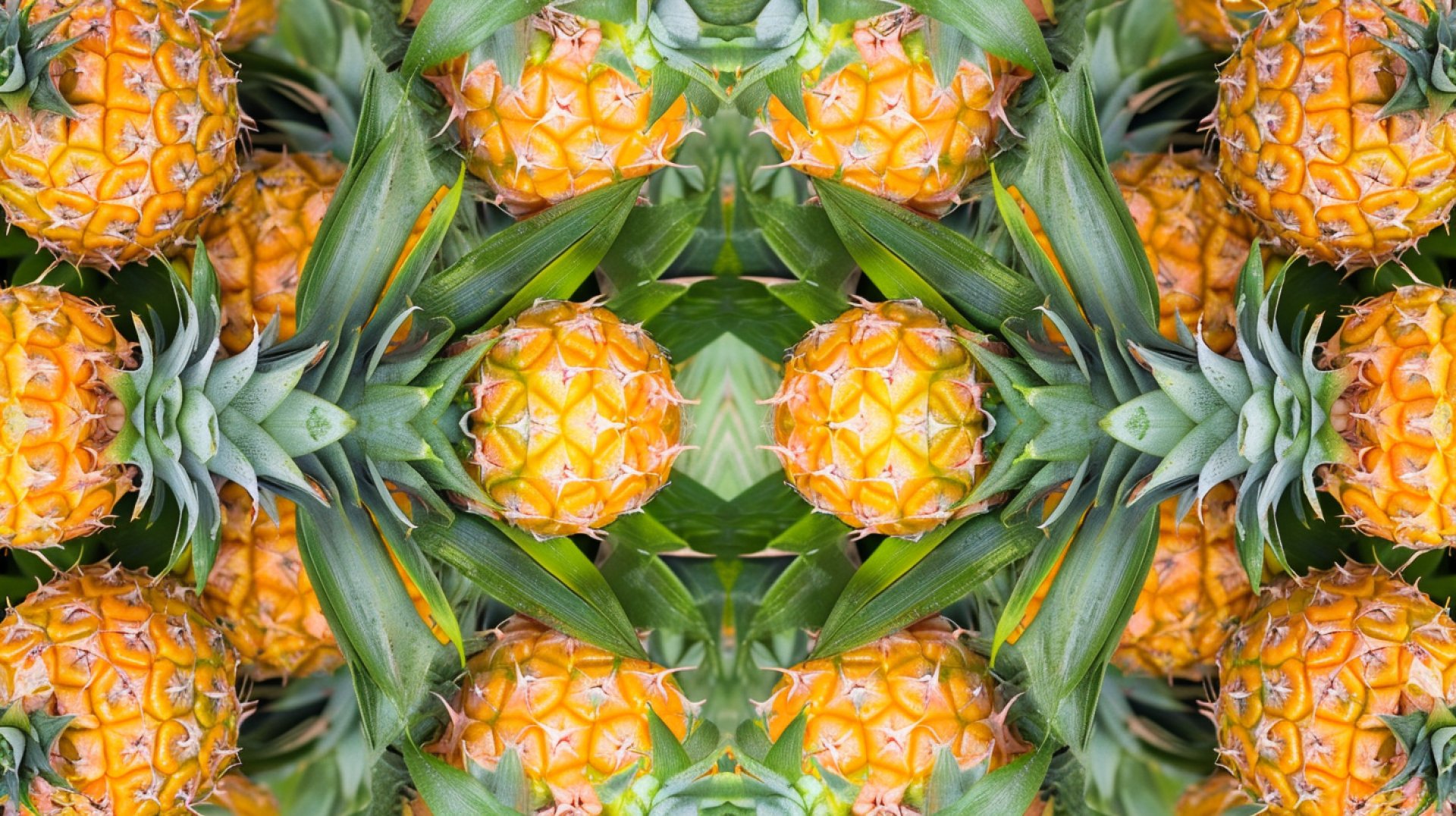 Stunning Ultra HD Upside Down Pineapple Background Images