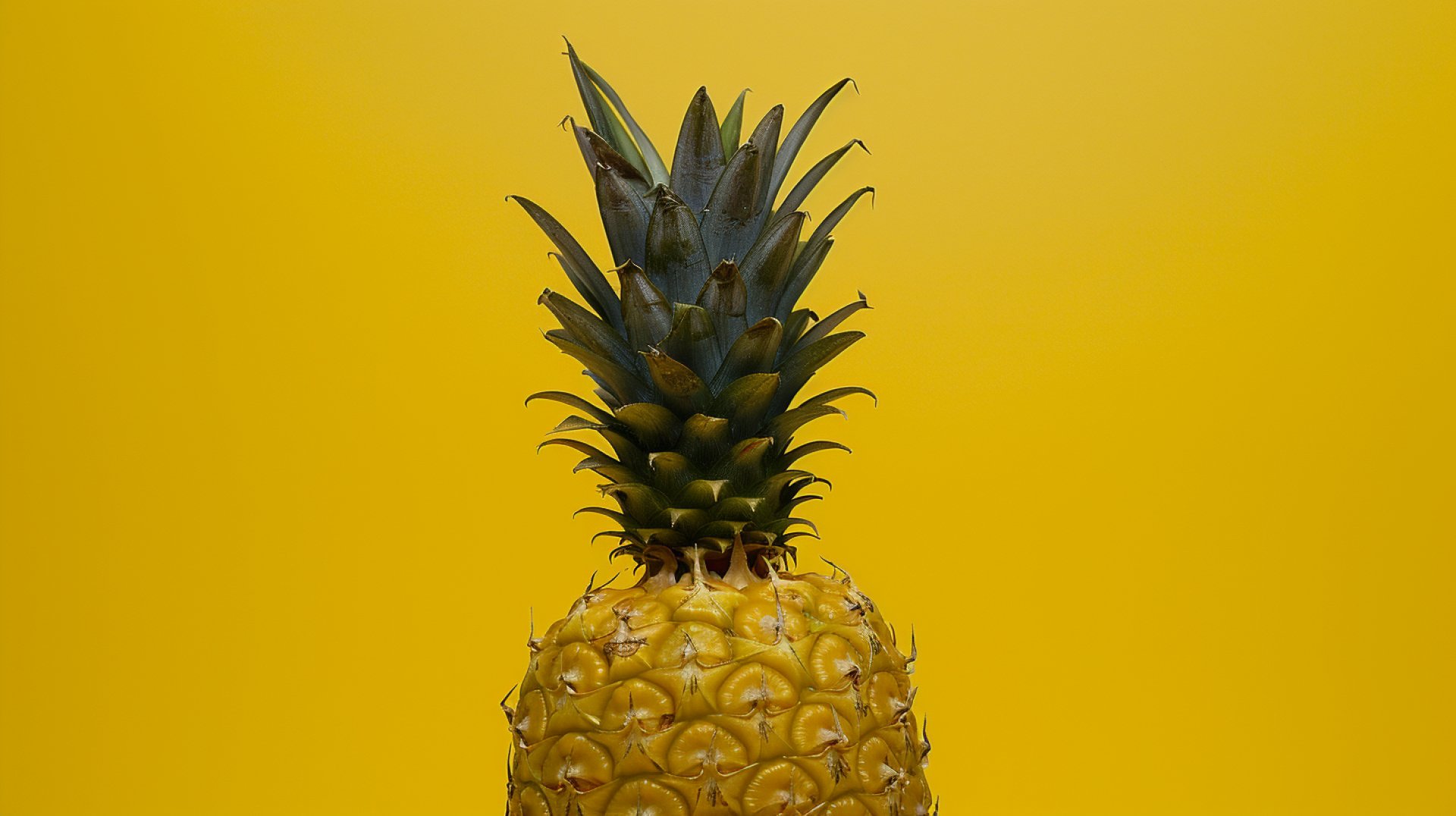 Royalty-Free Upside Down Pineapple Pictures to Download