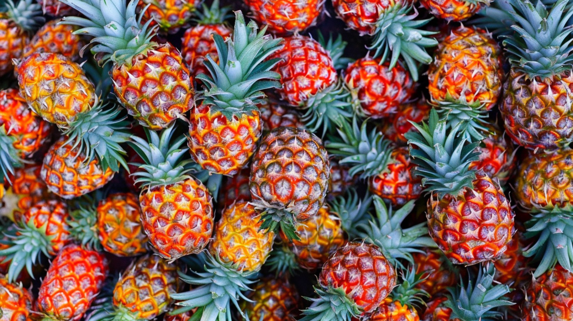 Colorful Upside Down Pineapple Digital Wallpaper Collection