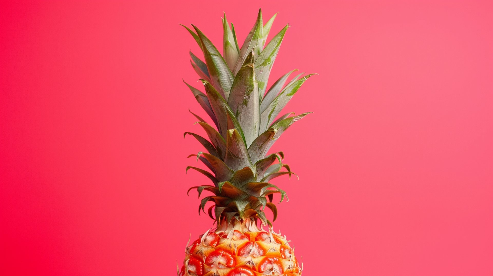 Eye-Catching Upside Down Pineapple HD Backgrounds