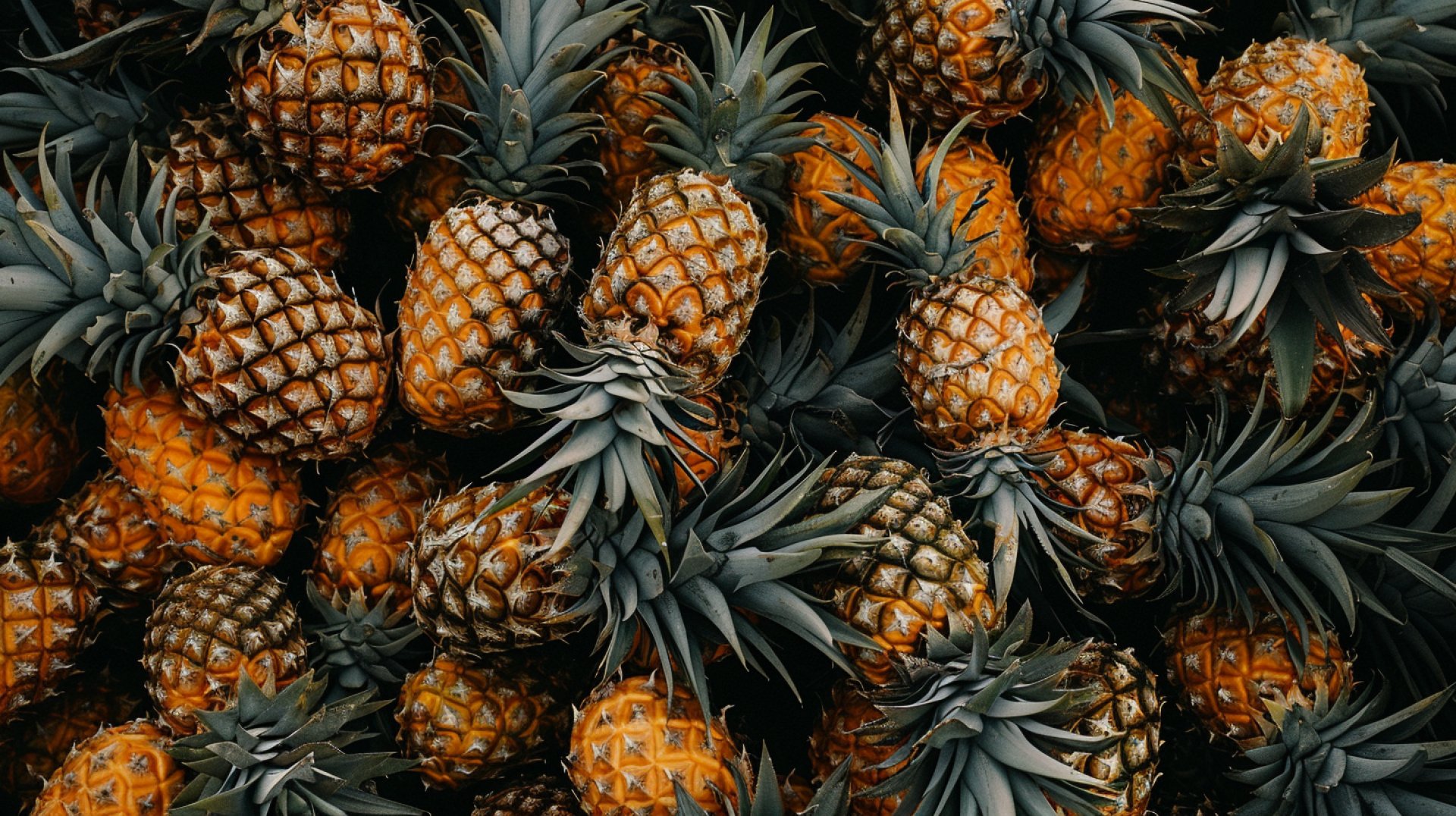 Pineapple Wallpaper For Desktop: High Definition Choices