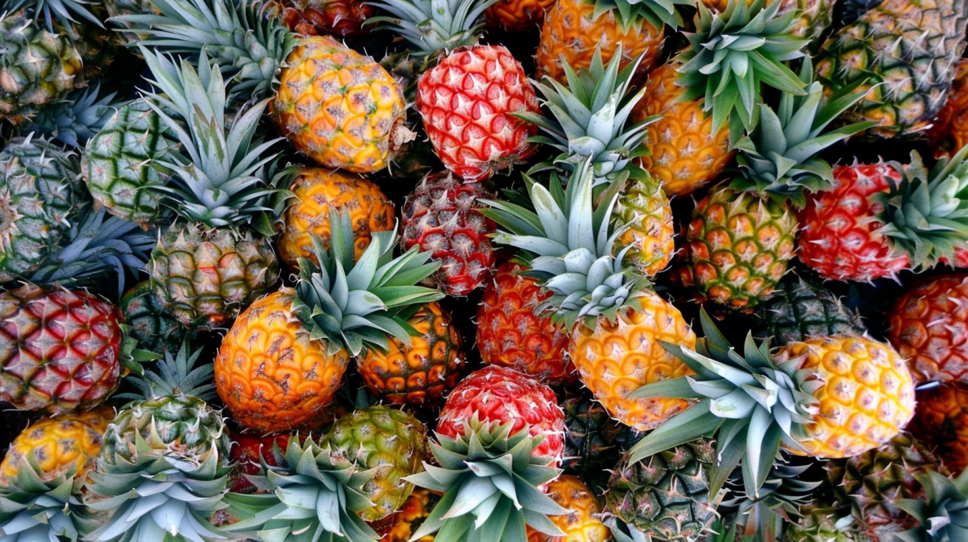 Creative Pineapple Images: Free Royalty-Free Options Available