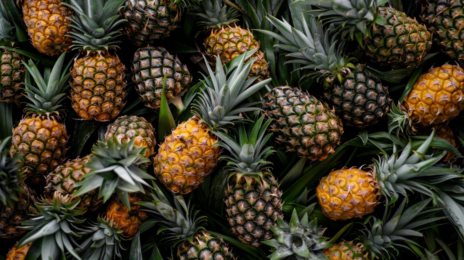 Sunshine and Pineapples: Vibrant HD Wallpapers