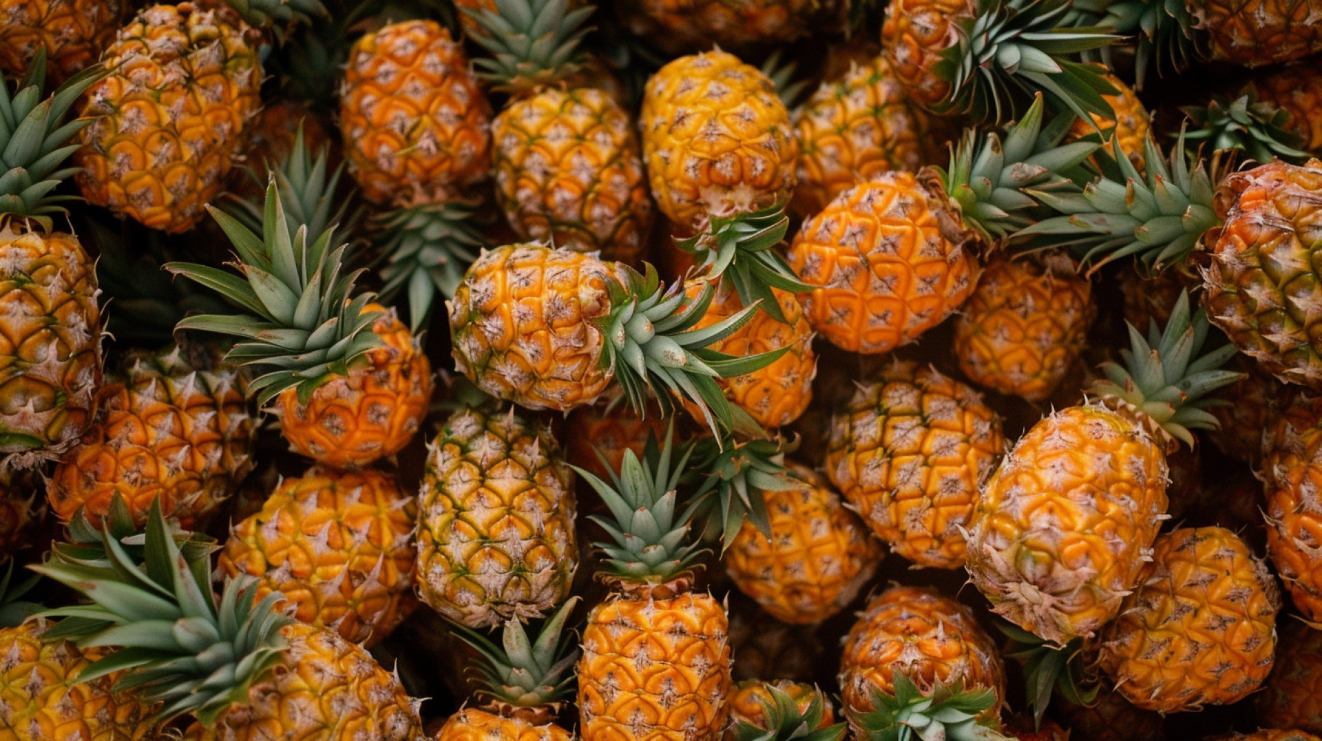 Download Ultra HD Pineapple Wallpapers in 4K Resolution