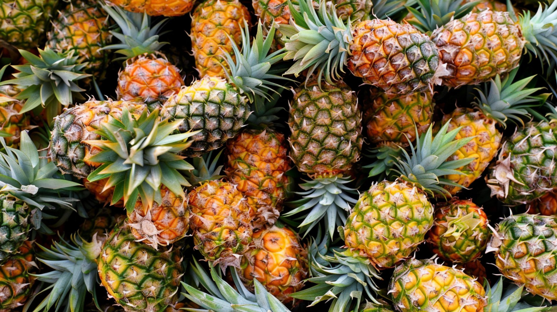 Ultra HD Pineapple Pictures for Your PC Wallpaper